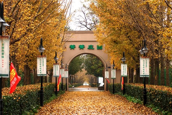 箐箐莊園